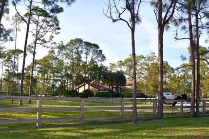 Pasture with house in background